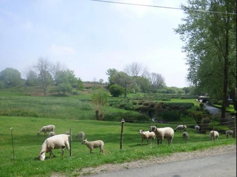 Sieck Moulin De Kerellec Plougoulm
